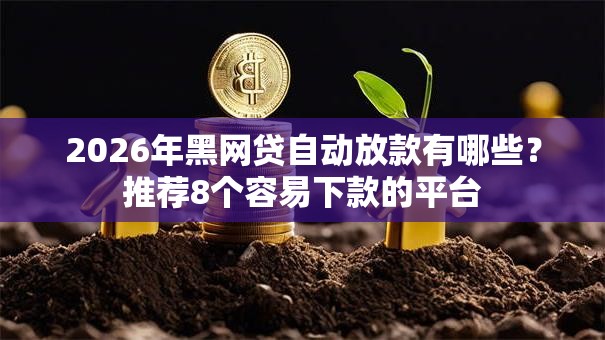 2026年黑网贷自动放款有哪些?推荐8个容易下款的平台 2026年黑网贷自动放款有哪些?推荐8个容易下款的平台