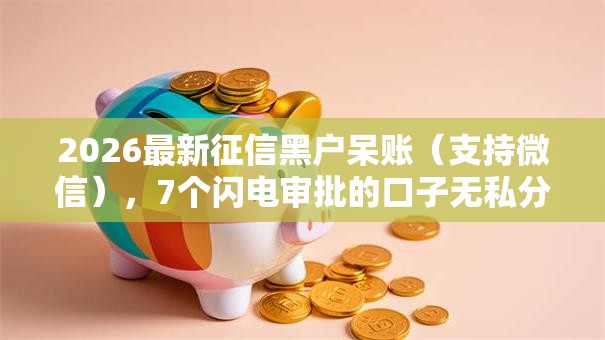 2026最新征信黑户呆账(支持微信),7个闪电审批的口子无私分享 2026最新征信黑户呆账(支持微信),7个闪电审批的口子无私分享