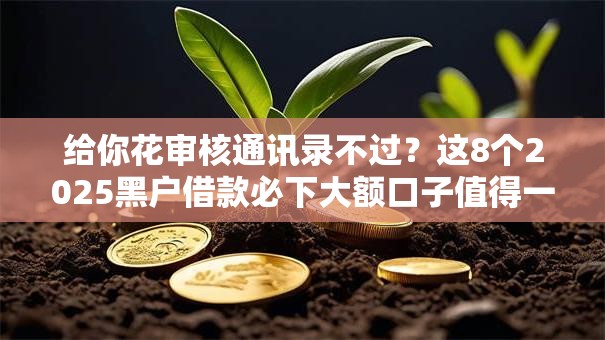 给你花审核通讯录不过?这8个2025黑户借款必下大额口子值得一试 给你花审核通讯录不过?这8个2025黑户借款必下大额口子值得一试