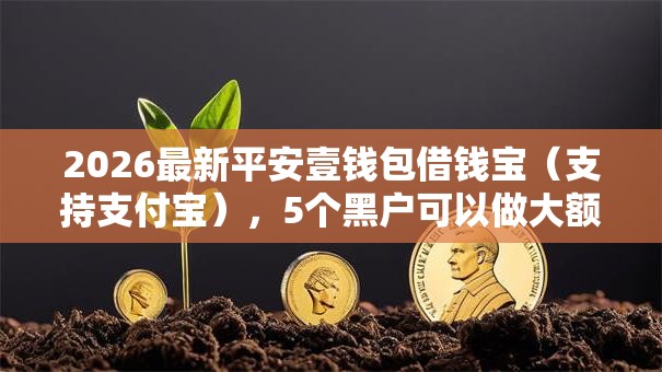 2026最新平安壹钱包借钱宝(支持支付宝),5个黑户可以做大额贷款口子无私分享 2026最新平安壹钱包借钱宝(支持支付宝),5个黑户可以做大额贷款口子无私分享