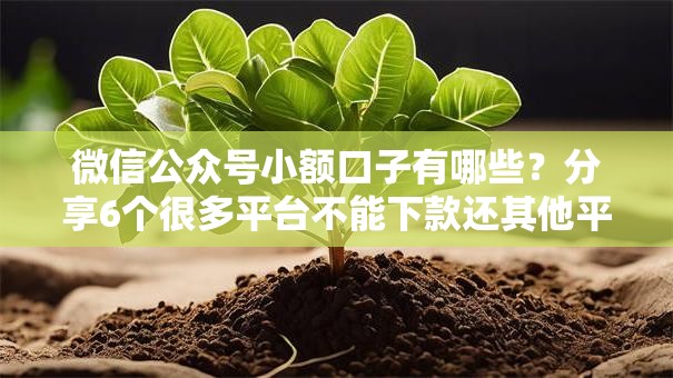 微信公众号小额口子有哪些?分享6个很多平台不能下款还其他平台 微信公众号小额口子有哪些?分享6个很多平台不能下款还其他平台