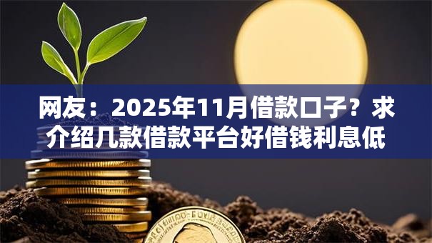 网友:2025年11月借款口子?求介绍几款借款平台好借钱利息低 网友:2025年11月借款口子?求介绍几款借款平台好借钱利息低