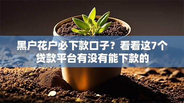 黑户花户必下款口子？看看这7个贷款平台有没有能下款的