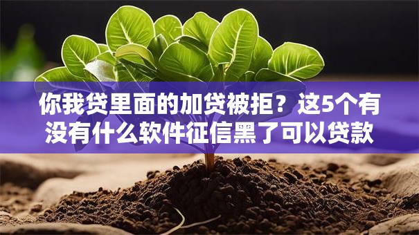 你我贷里面的加贷被拒?这5个有没有什么软件征信黑了可以贷款可以试试 你我贷里面的加贷被拒?这5个有没有什么软件征信黑了可以贷款可以试试