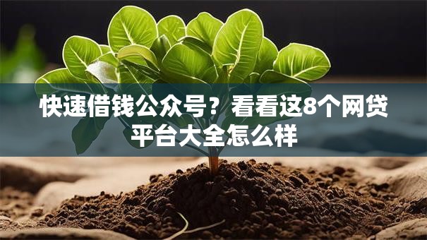 快速借钱公众号?看看这8个网贷平台大全怎么样 快速借钱公众号?看看这8个网贷平台大全怎么样