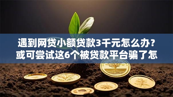 遇到网贷小额贷款3千元怎么办?或可尝试这6个被贷款平台骗了怎么办 遇到网贷小额贷款3千元怎么办?或可尝试这6个被贷款平台骗了怎么办