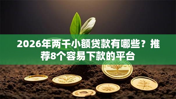 2026年两千小额贷款有哪些?推荐8个容易下款的平台 2026年两千小额贷款有哪些?推荐8个容易下款的平台