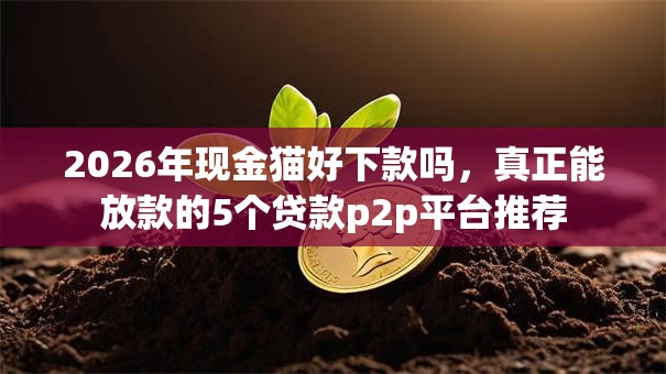 2026年现金猫好下款吗，真正能放款的5个贷款p2p平台推荐