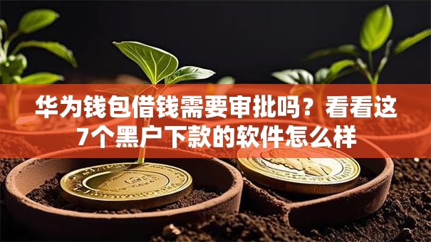 华为钱包借钱需要审批吗?看看这7个黑户下款的软件怎么样 华为钱包借钱需要审批吗?看看这7个黑户下款的软件怎么样