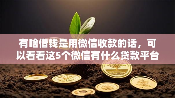 有啥借钱是用微信收款的话,可以看看这5个微信有什么贷款平台 有啥借钱是用微信收款的话,可以看看这5个微信有什么贷款平台