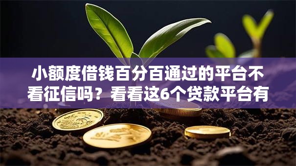 小额度借钱百分百通过的平台不看征信吗？看看这6个贷款平台有没有能下款的