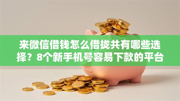 来微信借钱怎么借拢共有哪些选择？8个新手机号容易下款的平台详解