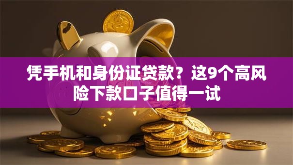 凭手机和身份证贷款？这9个高风险下款口子值得一试