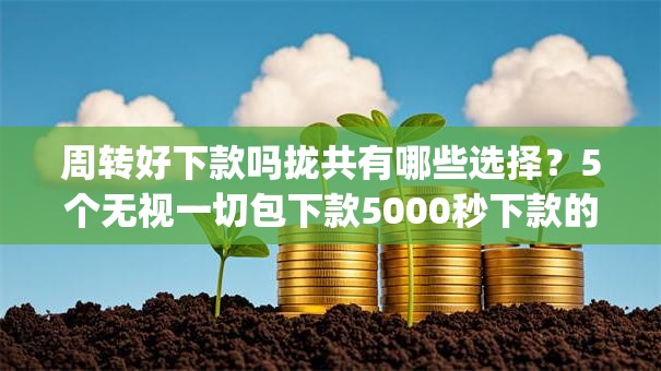 周转好下款吗拢共有哪些选择?5个无视一切包下款5000秒下款的app详解 周转好下款吗拢共有哪些选择?5个无视一切包下款5000秒下款的app详解