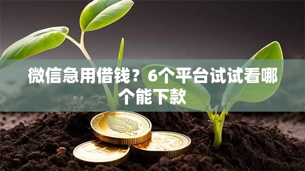 微信急用借钱？6个平台试试看哪个能下款