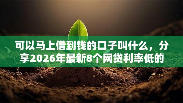 可以马上借到钱的口子叫什么,分享2026年最新8个网贷利率低的平台 可以马上借到钱的口子叫什么,分享2026年最新8个网贷利率低的平台