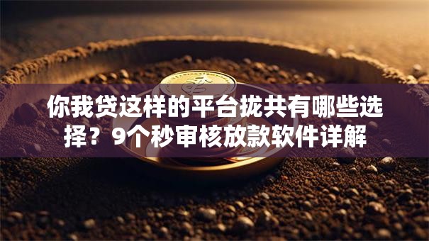 你我贷这样的平台拢共有哪些选择?9个秒审核放款软件详解 你我贷这样的平台拢共有哪些选择?9个秒审核放款软件详解