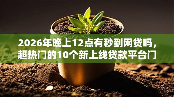 2026年晚上12点有秒到网贷吗,超热门的10个新上线贷款平台门槛低软件推荐 2026年晚上12点有秒到网贷吗,超热门的10个新上线贷款平台门槛低软件推荐
