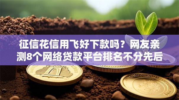 征信花信用飞好下款吗?网友亲测8个网络贷款平台排名不分先后盘点 征信花信用飞好下款吗?网友亲测8个网络贷款平台排名不分先后盘点
