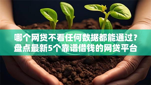 哪个网贷不看任何数据都能通过?盘点最新5个靠谱借钱的网贷平台 哪个网贷不看任何数据都能通过?盘点最新5个靠谱借钱的网贷平台