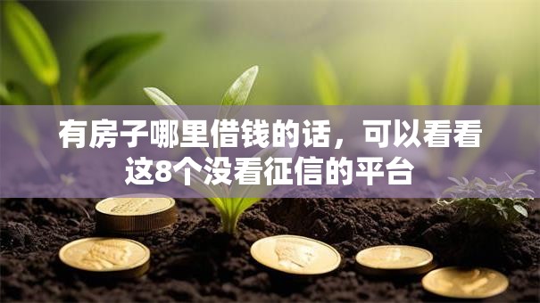有房子哪里借钱的话，可以看看这8个没看征信的平台