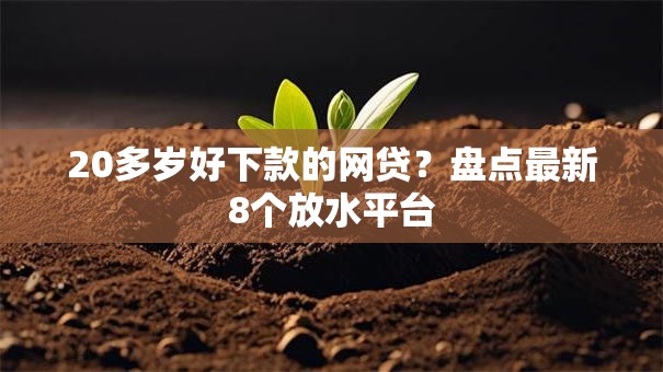 20多岁好下款的网贷？盘点最新8个放水平台