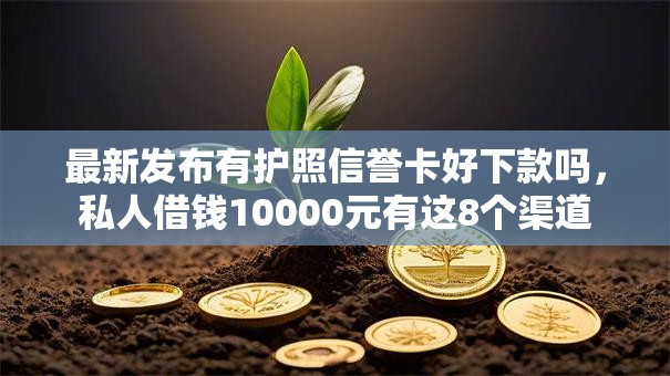 最新发布有护照信誉卡好下款吗,私人借钱10000元有这8个渠道 最新发布有护照信誉卡好下款吗,私人借钱10000元有这8个渠道