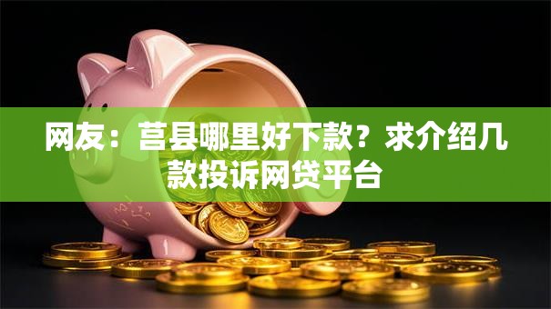 网友：莒县哪里好下款？求介绍几款投诉网贷平台