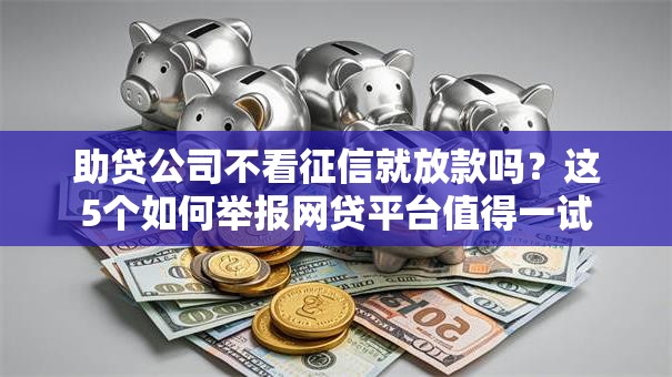 助贷公司不看征信就放款吗?这5个如何举报网贷平台值得一试 助贷公司不看征信就放款吗?这5个如何举报网贷平台值得一试