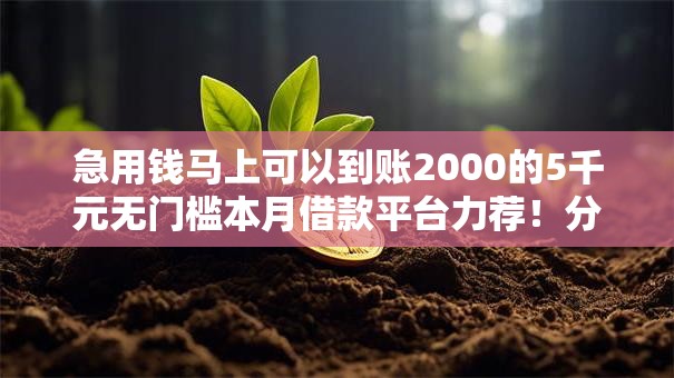 急用钱马上可以到账2000的5千元无门槛本月借款平台力荐!分享小额网贷口子5千元无门槛借款 急用钱马上可以到账2000的5千元无门槛本月借款平台力荐!分享小额网贷口子5千元无门槛借款