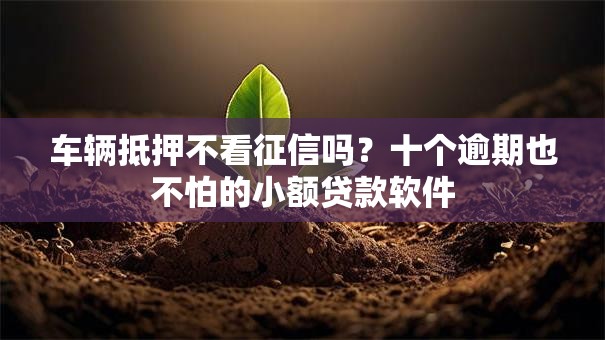 车辆抵押不看征信吗?十个逾期也不怕的小额贷款软件 车辆抵押不看征信吗?十个逾期也不怕的小额贷款软件