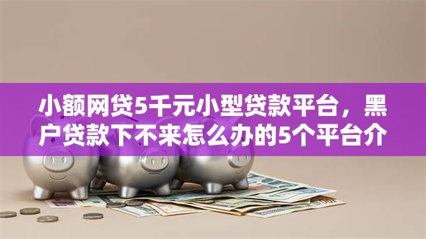 小额网贷5千元小型贷款平台，黑户贷款下不来怎么办的5个平台介绍