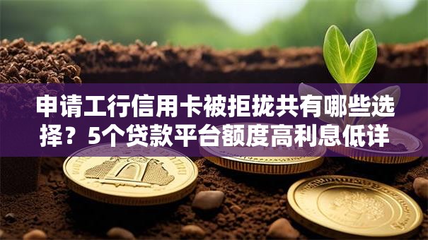 申请工行信用卡被拒拢共有哪些选择?5个贷款平台额度高利息低详解 申请工行信用卡被拒拢共有哪些选择?5个贷款平台额度高利息低详解