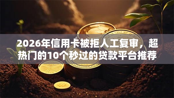 2026年信用卡被拒人工复审,超热门的10个秒过的贷款平台推荐 2026年信用卡被拒人工复审,超热门的10个秒过的贷款平台推荐