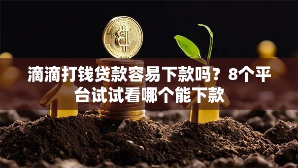 滴滴打钱贷款容易下款吗？8个平台试试看哪个能下款