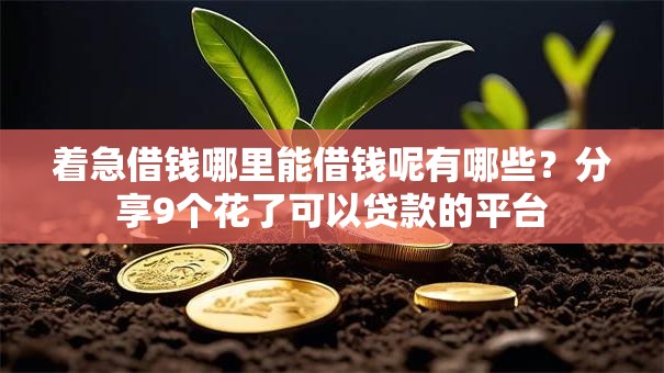 着急借钱哪里能借钱呢有哪些?分享9个花了可以贷款的平台 着急借钱哪里能借钱呢有哪些?分享9个花了可以贷款的平台