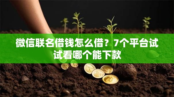 微信联名借钱怎么借?7个平台试试看哪个能下款 微信联名借钱怎么借?7个平台试试看哪个能下款