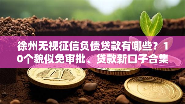 徐州无视征信负债贷款有哪些?10个貌似免审批、贷款新口子合集 徐州无视征信负债贷款有哪些?10个貌似免审批、贷款新口子合集