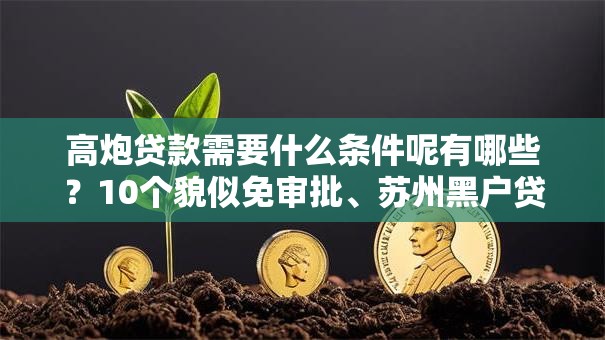 高炮贷款需要什么条件呢有哪些?10个貌似免审批、苏州黑户贷款5万的口子合集 高炮贷款需要什么条件呢有哪些?10个貌似免审批、苏州黑户贷款5万的口子合集