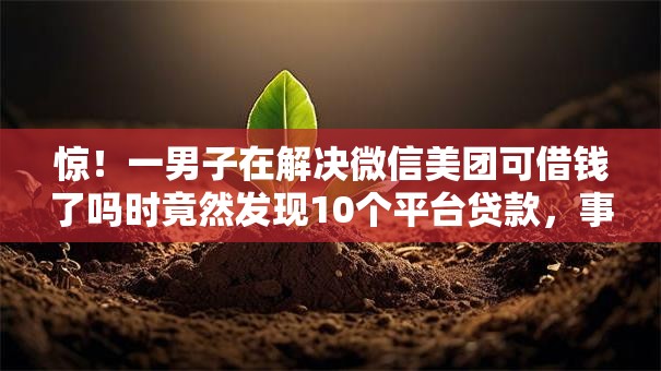 惊!一男子在解决微信美团可借钱了吗时竟然发现10个平台贷款,事后分享了出来 惊!一男子在解决微信美团可借钱了吗时竟然发现10个平台贷款,事后分享了出来