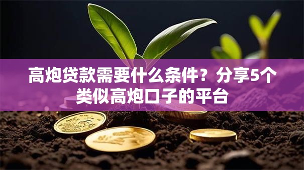 高炮贷款需要什么条件?分享5个类似高炮口子的平台 高炮贷款需要什么条件?分享5个类似高炮口子的平台