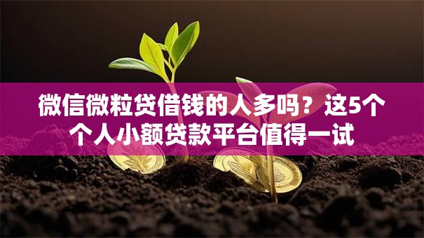微信微粒贷借钱的人多吗?这5个个人小额贷款平台值得一试 微信微粒贷借钱的人多吗?这5个个人小额贷款平台值得一试