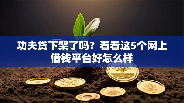 功夫贷下架了吗？看看这5个网上借钱平台好怎么样