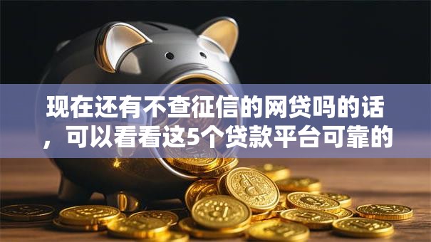 现在还有不查征信的网贷吗的话，可以看看这5个贷款平台可靠的