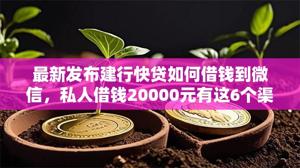 最新发布建行快贷如何借钱到微信，私人借钱20000元有这6个渠道