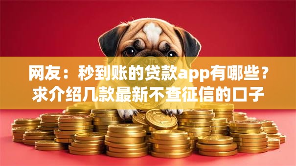 网友：秒到账的贷款app有哪些？求介绍几款最新不查征信的口子