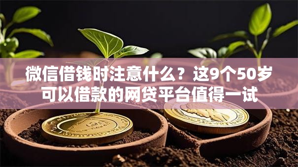 微信借钱时注意什么?这9个50岁可以借款的网贷平台值得一试 微信借钱时注意什么?这9个50岁可以借款的网贷平台值得一试