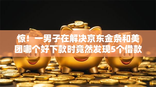 惊!一男子在解决京东金条和美团哪个好下款时竟然发现5个借款软件,事后分享了出来 惊!一男子在解决京东金条和美团哪个好下款时竟然发现5个借款软件,事后分享了出来