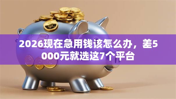 2026现在急用钱该怎么办,差5000元就选这7个平台 2026现在急用钱该怎么办,差5000元就选这7个平台