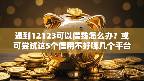 遇到12123可以借钱怎么办？或可尝试这5个信用不好哪几个平台可以借钱